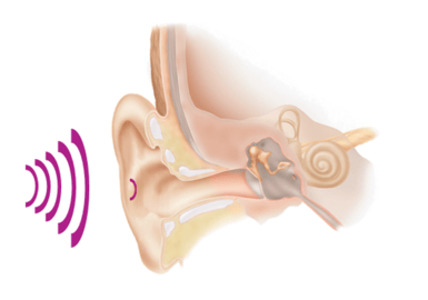 Hearing & Medical Evaluations